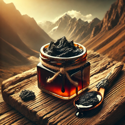 Top 5 Benefits of Shilajit for Energy and Vitality | Boost Your Health Naturally