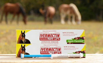 Durvet Ivermectin Paste Dewormer - 6.08g dose @ 1.87% Apple Flavor (6-Pack)