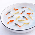 Live Aquarium Fish Combo – Dumbo Red Rose, Koi Goldfish & 24K Guppies (Pack of 9)