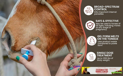 Durvet Ivermectin Paste Dewormer - 6.08g dose @ 1.87% Apple Flavor (6-Pack)